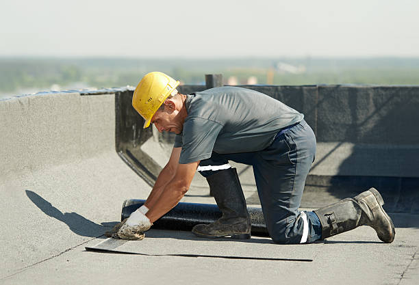 Best Residential Insulation in Live Oak, FL