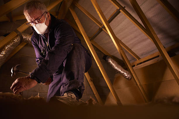 Best Commercial Insulation in Live Oak, FL